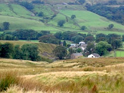 Faraday